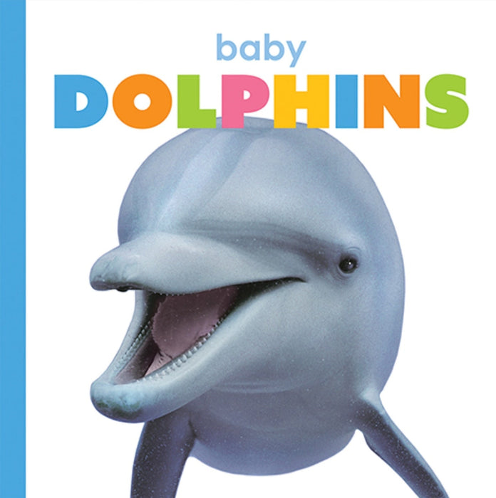 Creative Company Starting Out: Baby Dolphins Book