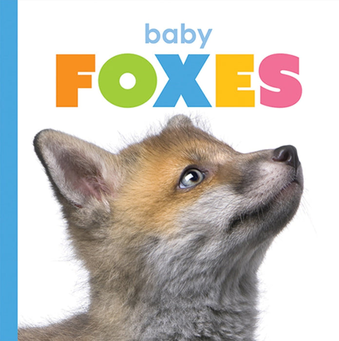 Creative Company Starting Out: Baby Foxes Book