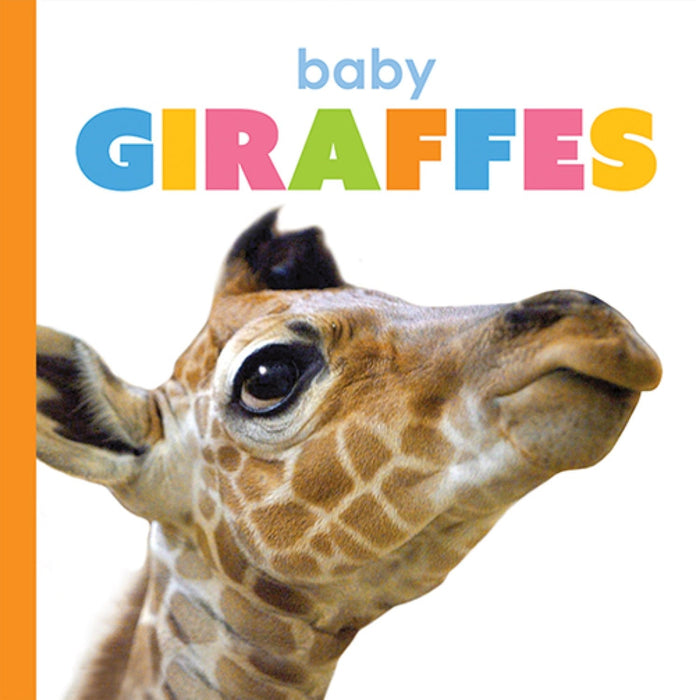 Creative Company Starting Out: Baby Giraffes Book