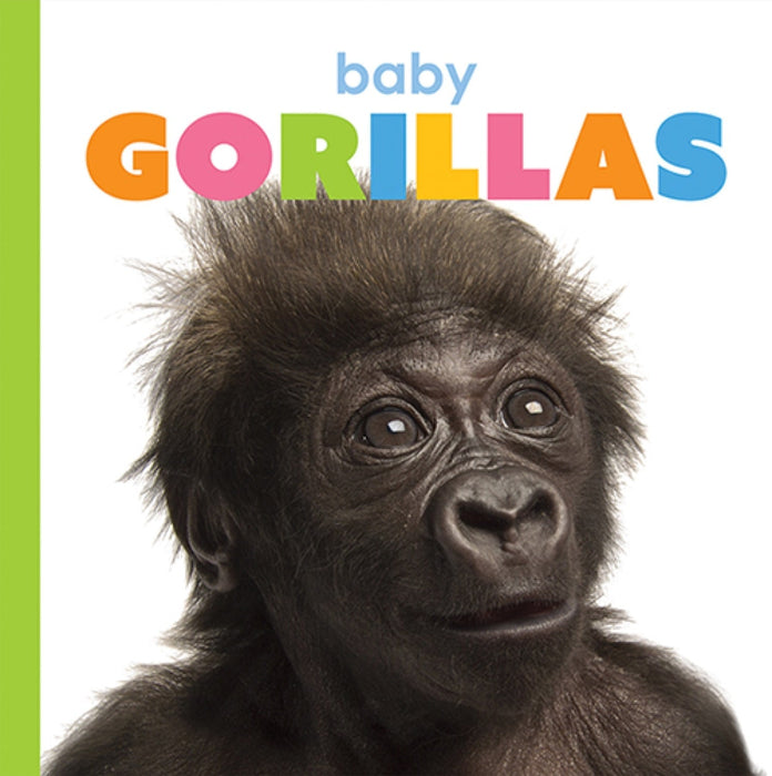Creative Company Starting Out: Baby Gorillas Book
