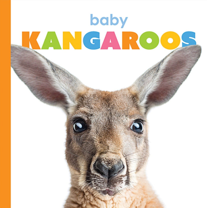 Creative Company Starting Out: Baby Kangaroos Book