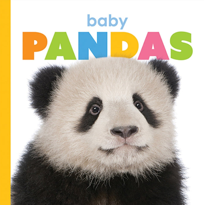 Creative Company Starting Out: Baby Pandas Book