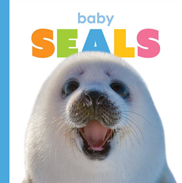 Creative Company Starting Out: Baby Seals Book