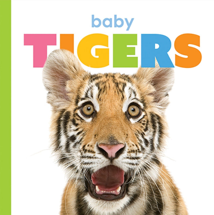 Creative Company Starting Out: Baby Tigers Book