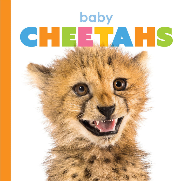 Creative Company Starting Out: Baby Cheetahs Book