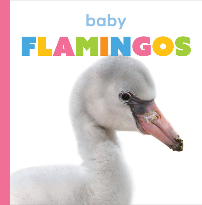 Creative Company Starting Out: Baby Flamingos Book
