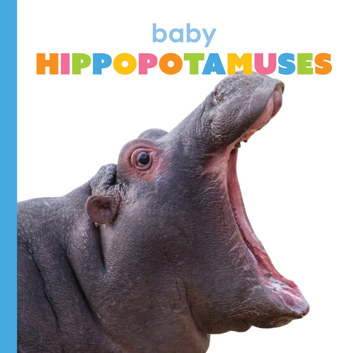 Creative Company Starting Out: Baby Hippopotamuses Book
