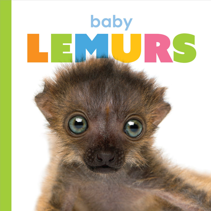 Creative Company Starting Out: Baby Lemurs Book