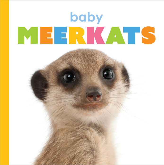 Creative Company Starting Out: Baby Meerkats Book