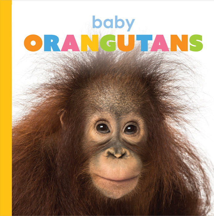 Creative Company Starting Out: Baby Orangutans Book