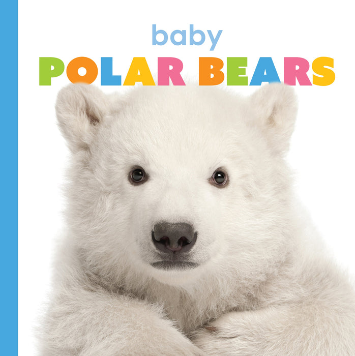 Creative Company Starting Out: Baby Polar Bears Book