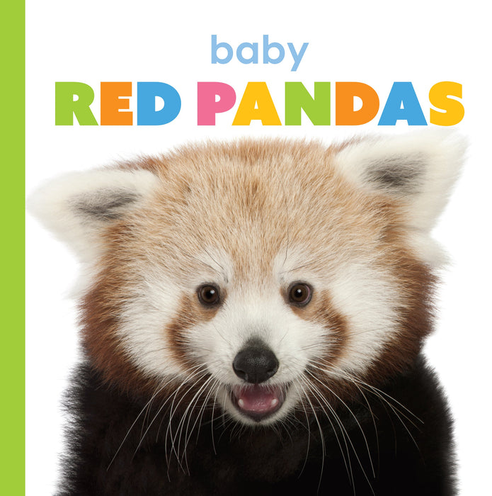 Creative Company Starting Out: Baby Red Pandas Book