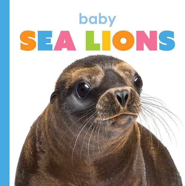 Creative Company Starting Out: Baby Sea Lions Book