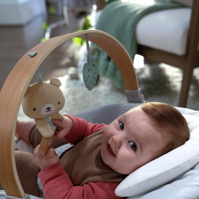 Ingenuity Cozy Spot Soothing Baby Bouncer with Wooden-Toy Arch