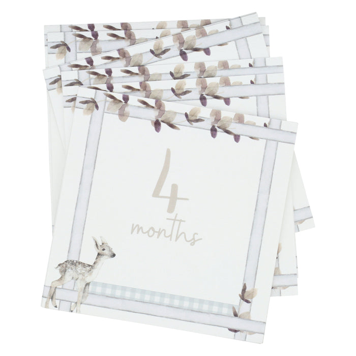 Curious Baby Infant Milestone + Memory Cards (0-12 months)