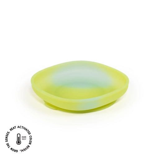 Paperclip Color Changing Suction Plate