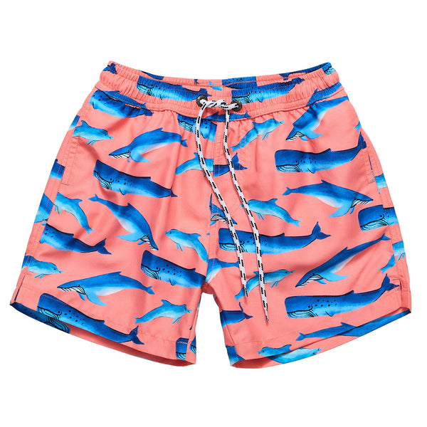 Snapper Rock Whale Tail Swim Short