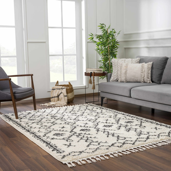 Hauteloom Godalming Plush Area Rug