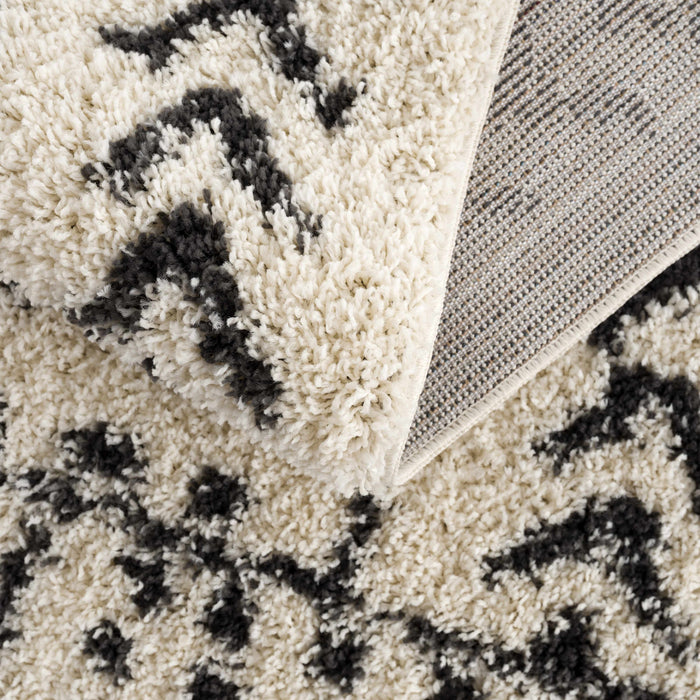 Hauteloom Hauppauge Berber Shag Carpet