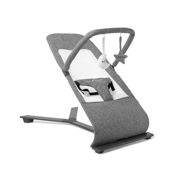 Baby bouncer buy buy baby online