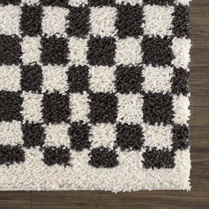 Hauteloom Kieu Black & White Checkered Area Rug