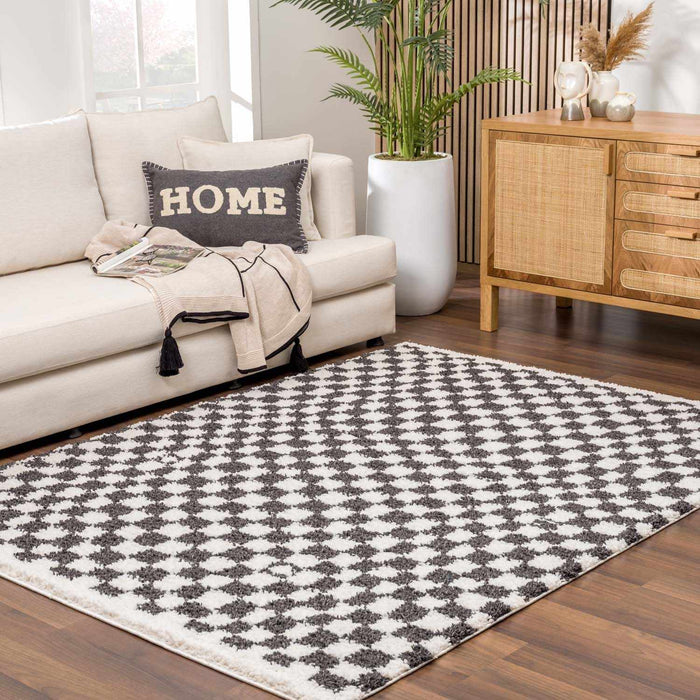 Hauteloom Kieu Black & White Checkered Area Rug