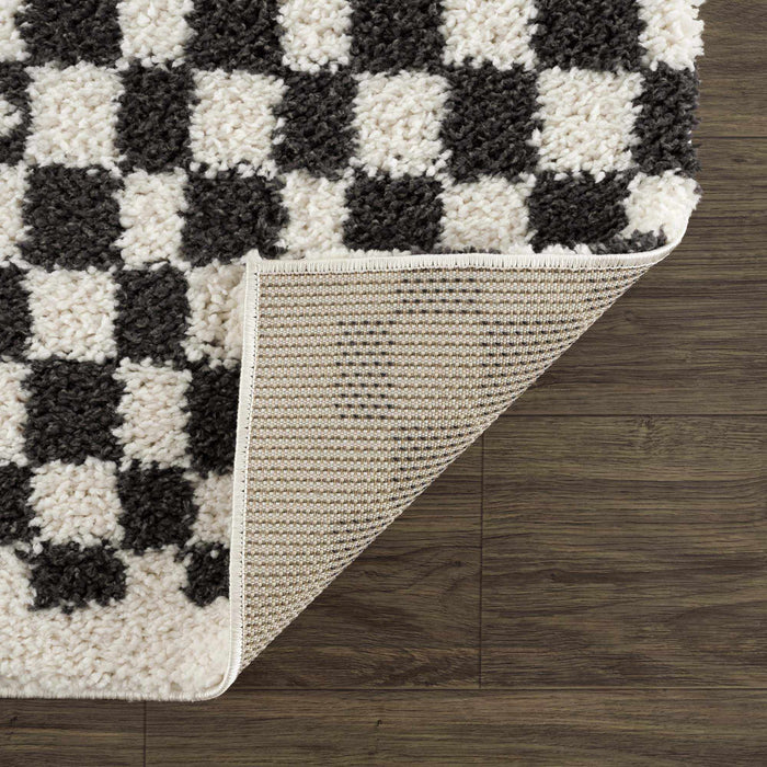 Hauteloom Kieu Black & White Checkered Area Rug