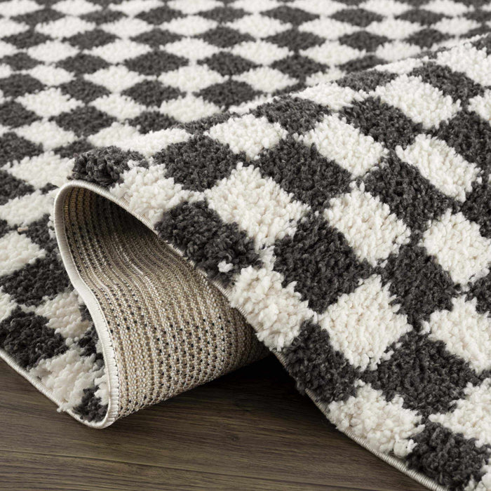 Hauteloom Kieu Black & White Checkered Area Rug