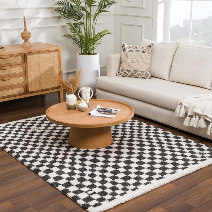 Hauteloom Kieu Black & White Checkered Area Rug