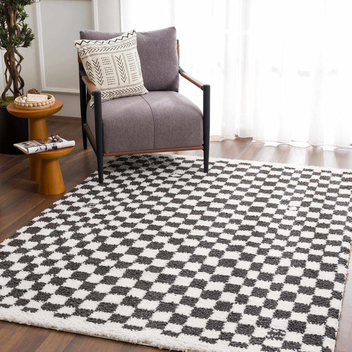 Hauteloom Kieu Black & White Checkered Area Rug