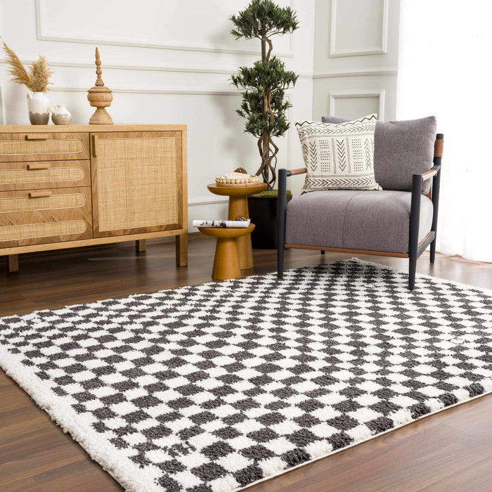 Hauteloom Kieu Black & White Checkered Area Rug