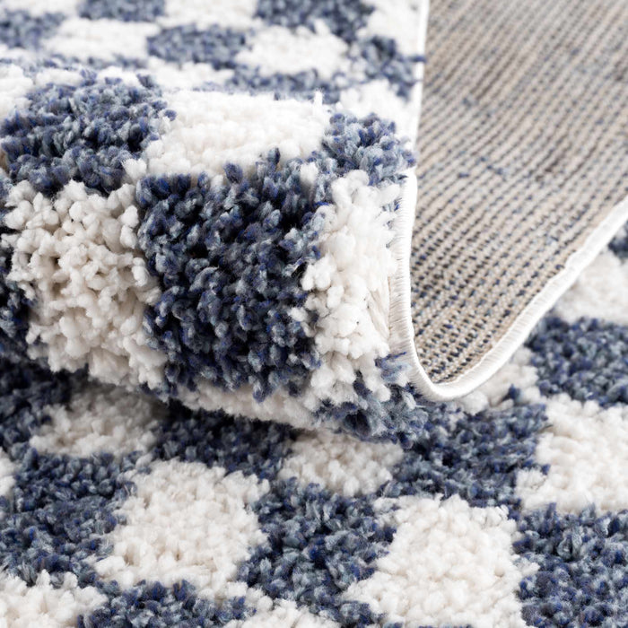 Hauteloom Kieu Blue & White Checkered Area Rug