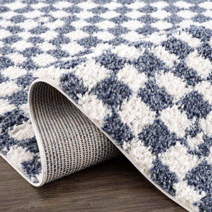 Hauteloom Kieu Blue & White Checkered Area Rug