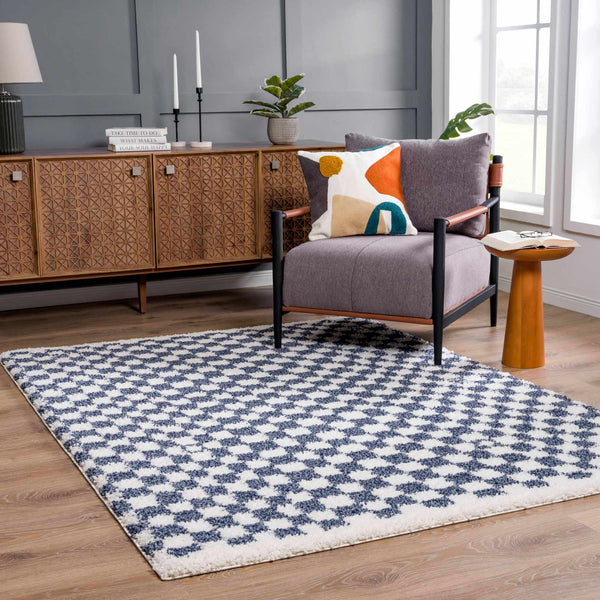 Hauteloom Kieu Blue & White Checkered Area Rug