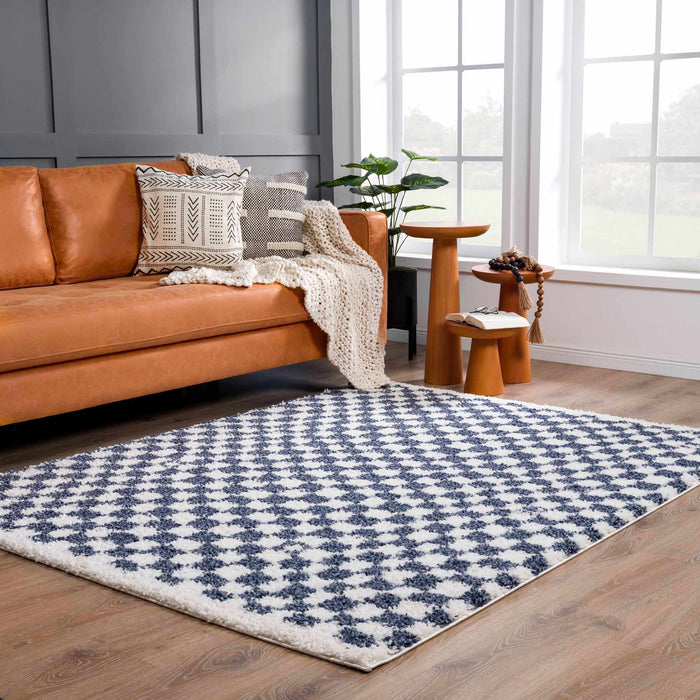 Hauteloom Kieu Blue & White Checkered Area Rug