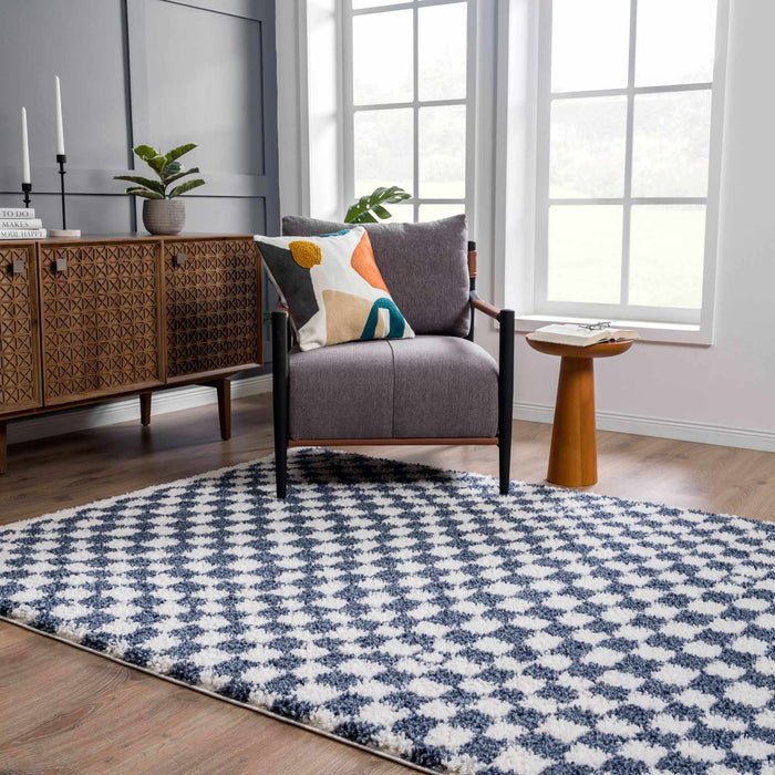 Hauteloom Kieu Blue & White Checkered Area Rug