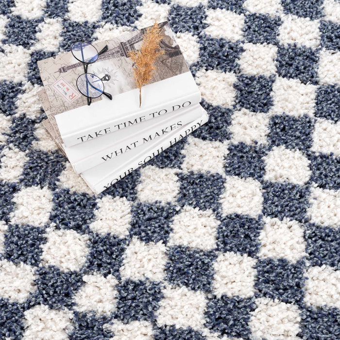 Hauteloom Kieu Blue & White Checkered Area Rug