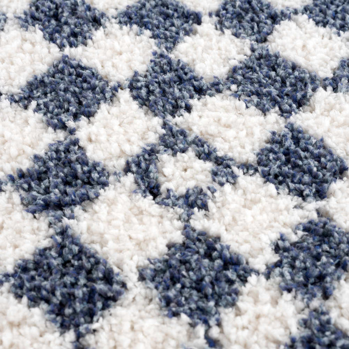 Hauteloom Kieu Blue & White Checkered Area Rug