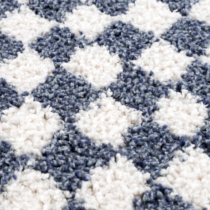 Hauteloom Kieu Blue & White Checkered Area Rug