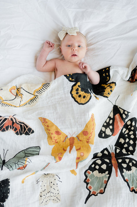 Clementine Kids Butterfly Collector Swaddle