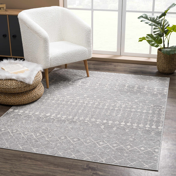 Hauteloom Tigrican Light Gray 2334 Area Rug