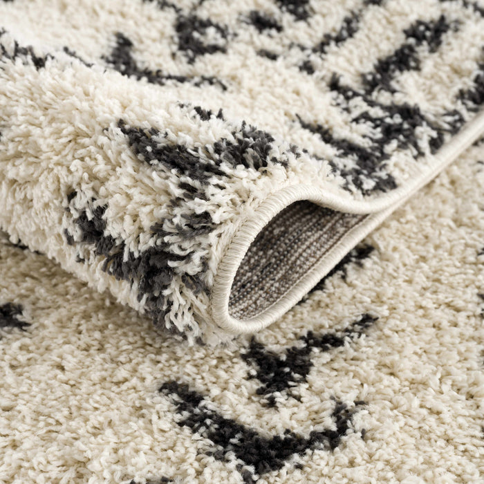 Hauteloom Hauppauge Berber Shag Carpet
