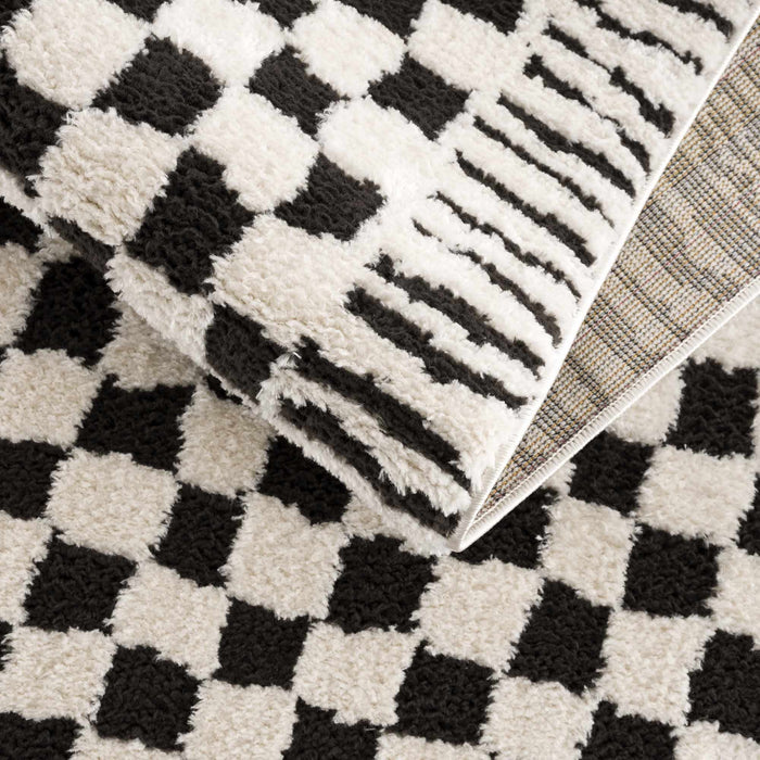 Hauteloom Leryn Black & White Checkered Area Rug