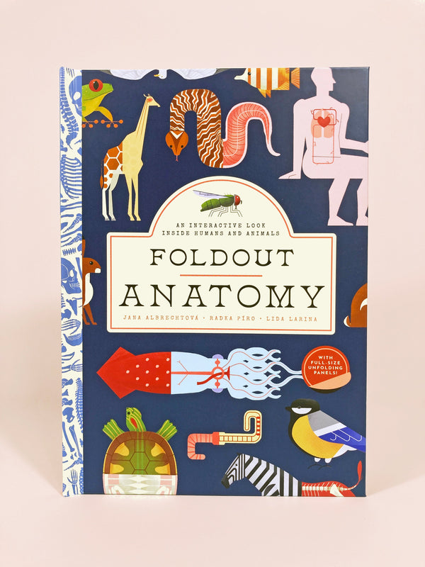 Bushel & Peck Books Foldout Anatomy