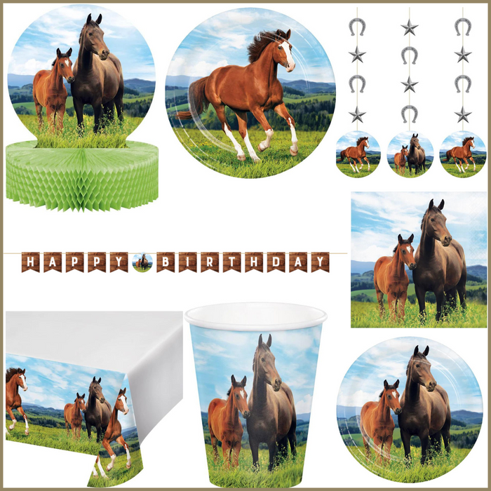 Party Decorations Horse and Pony Birthday Kit for 8 (46 Total Items)