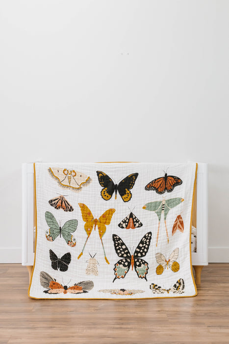 Clementine Kids Butterfly Collector Quilt