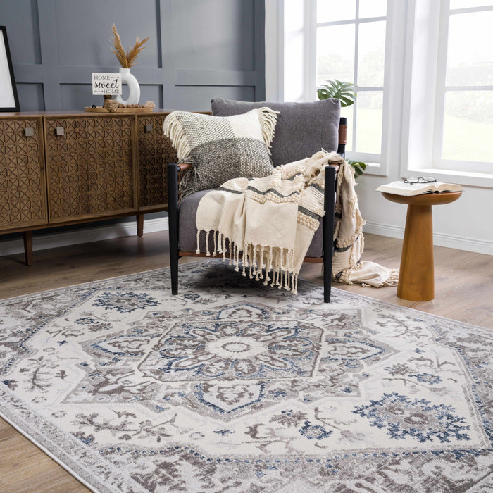 Hauteloom Bakir Blue Hues Gray Medallion Area Rug - Limited Edition