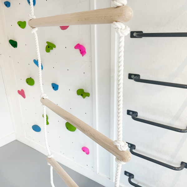 Project Playroom Indoor Kids Ladder