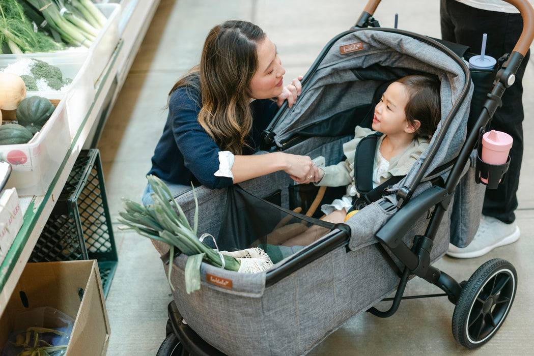 Larktale Sprout Stroller/Wagon v2