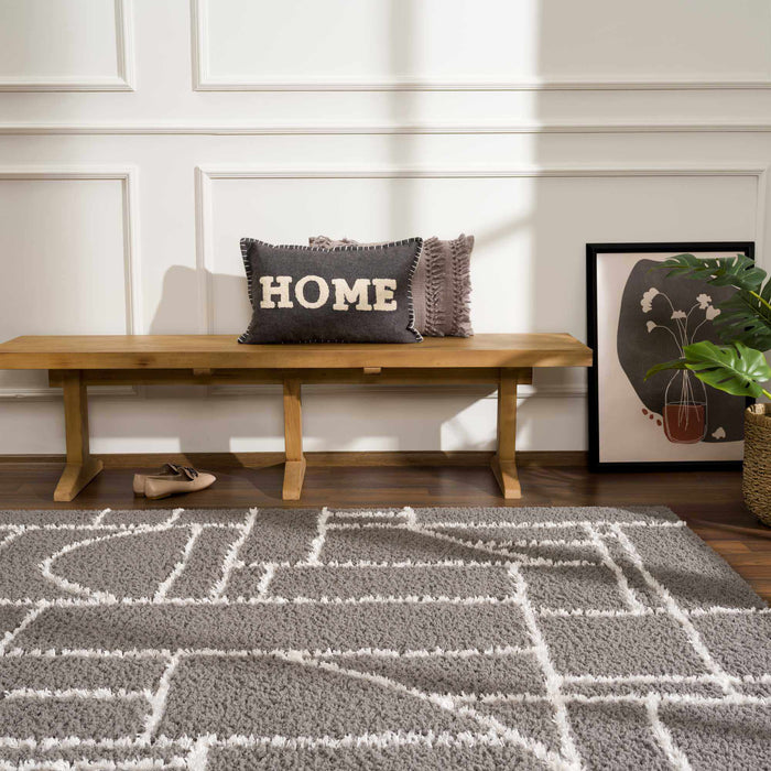 Hauteloom Andia Charcoal Area Rug